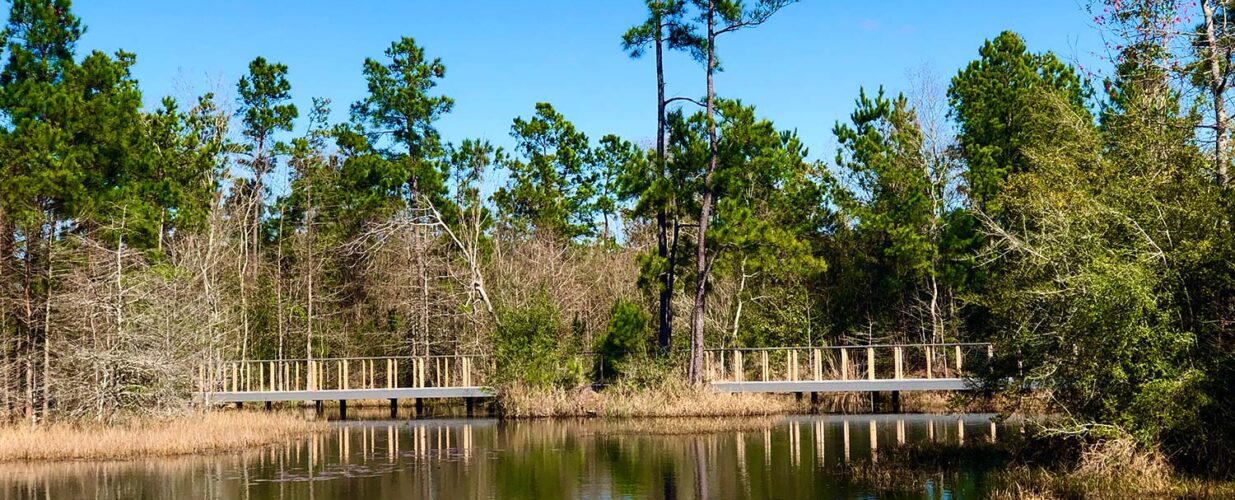 Atascocita Park trees reflecting on the lake